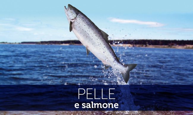02 Pelle e salmone NEWS