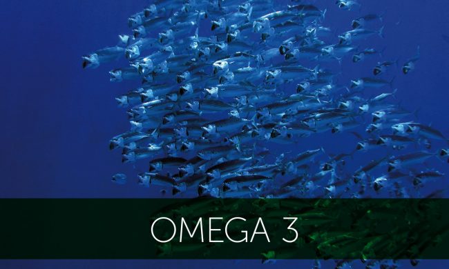 10 Omega 3