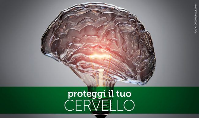 Cervello-032019