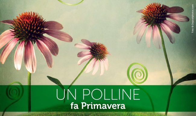 Unifarco Allergie-2019