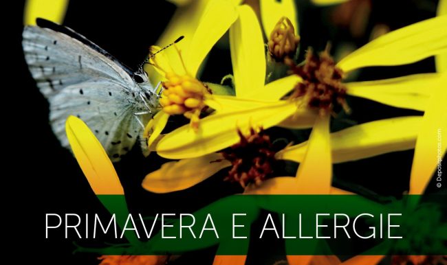 Primavera-e-allergie-2019
